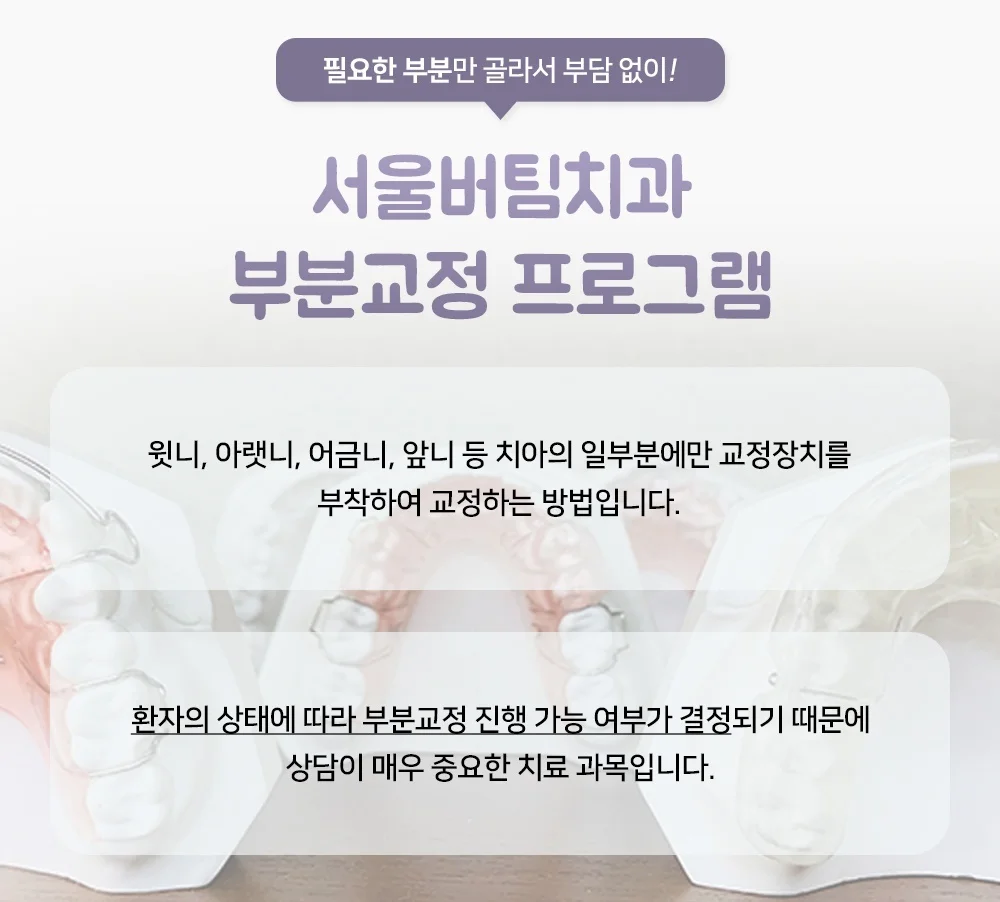11.jpg의 사본