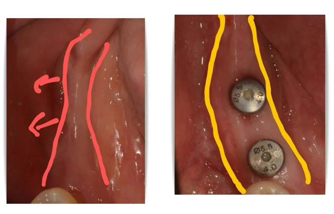 스크린샷 2026 02 06 120209